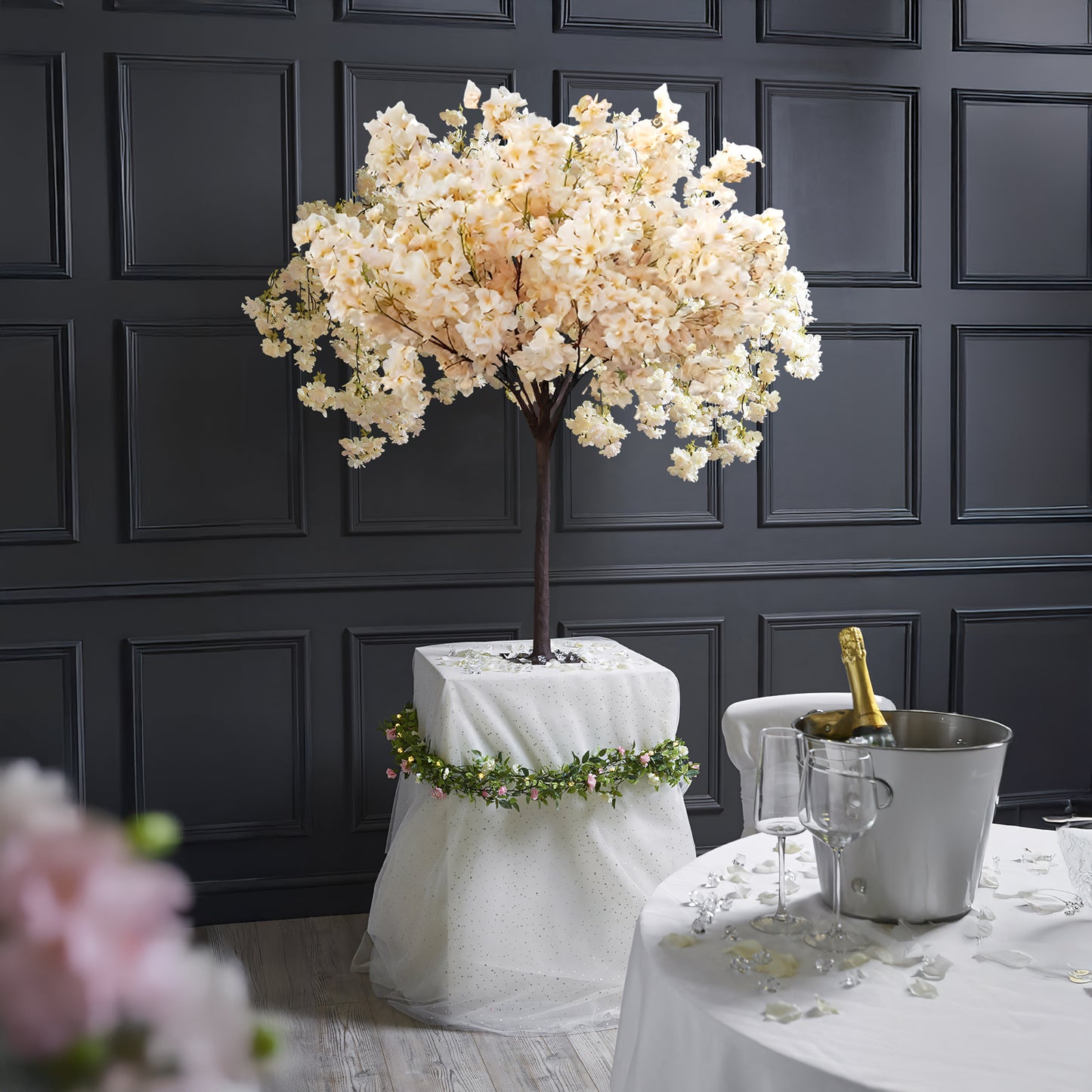 Prunus Ukon Blossom Tree