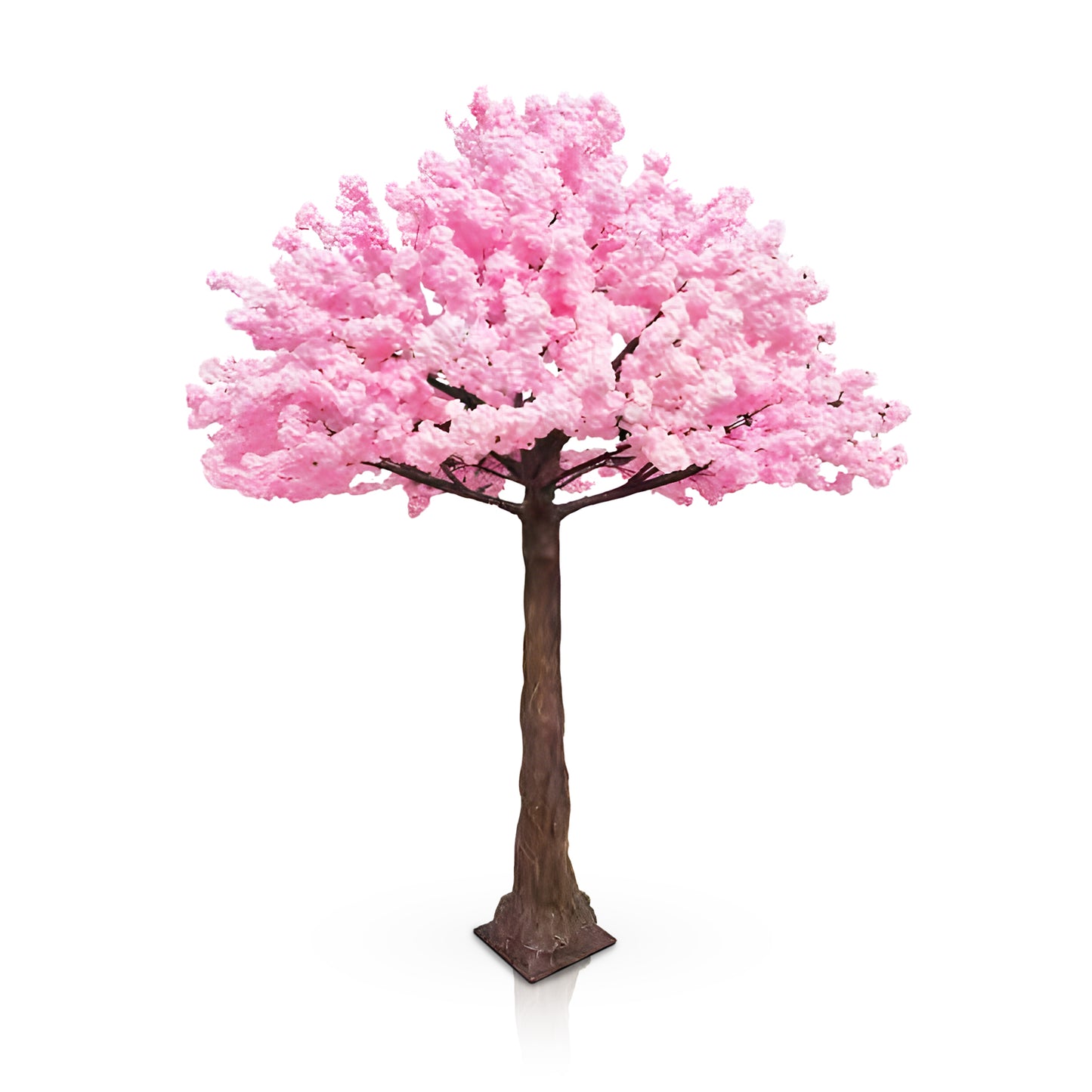 Romantic Blossom