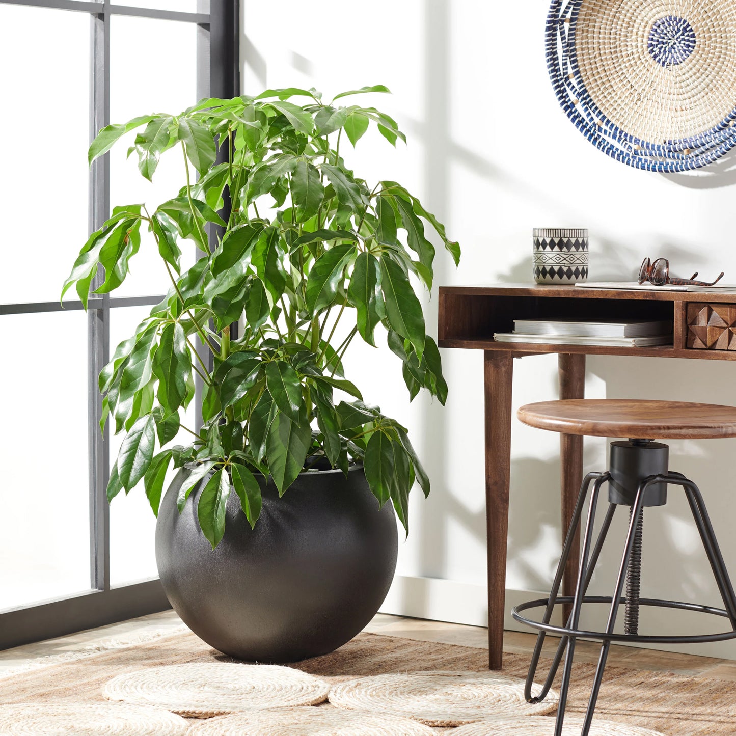 Urban Vessel Planter