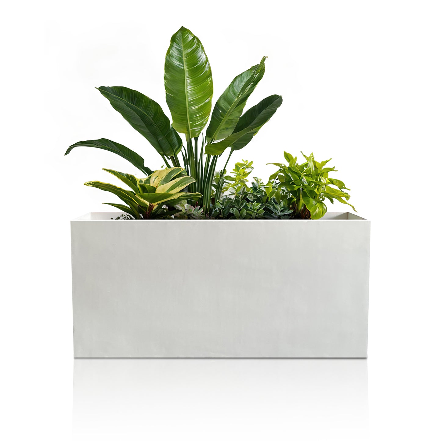 Minimalist Oasis Planter - Full Set