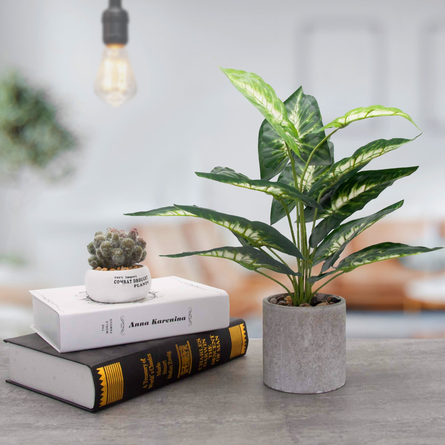 A vibrant Jade Majesty by Landmark Decor in a gray pot sits on a table beside two stacked books. A small cactus in a white pot with text balances atop the books, while a hanging bulb softly lights the blurred background.