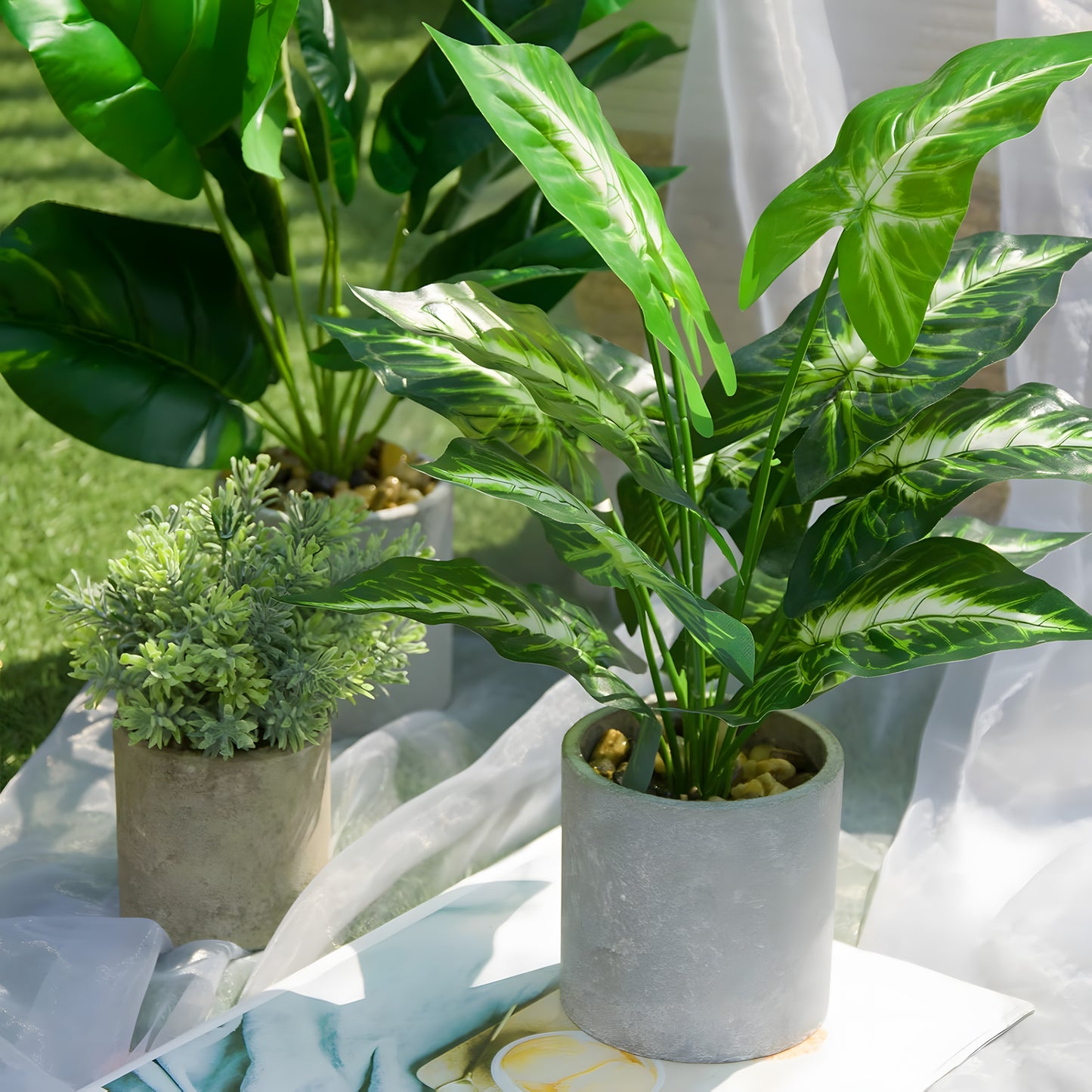 Three potted plants, including a small Dieffenbachia, adorn the outdoor space. Each varies in size and type, housed in a concrete pot filled with pebbles. Sunlight highlights the lush green leaves while elegant white fabric behind them creates a tranquil scene. Product: Jade Majesty by Landmark Decor.