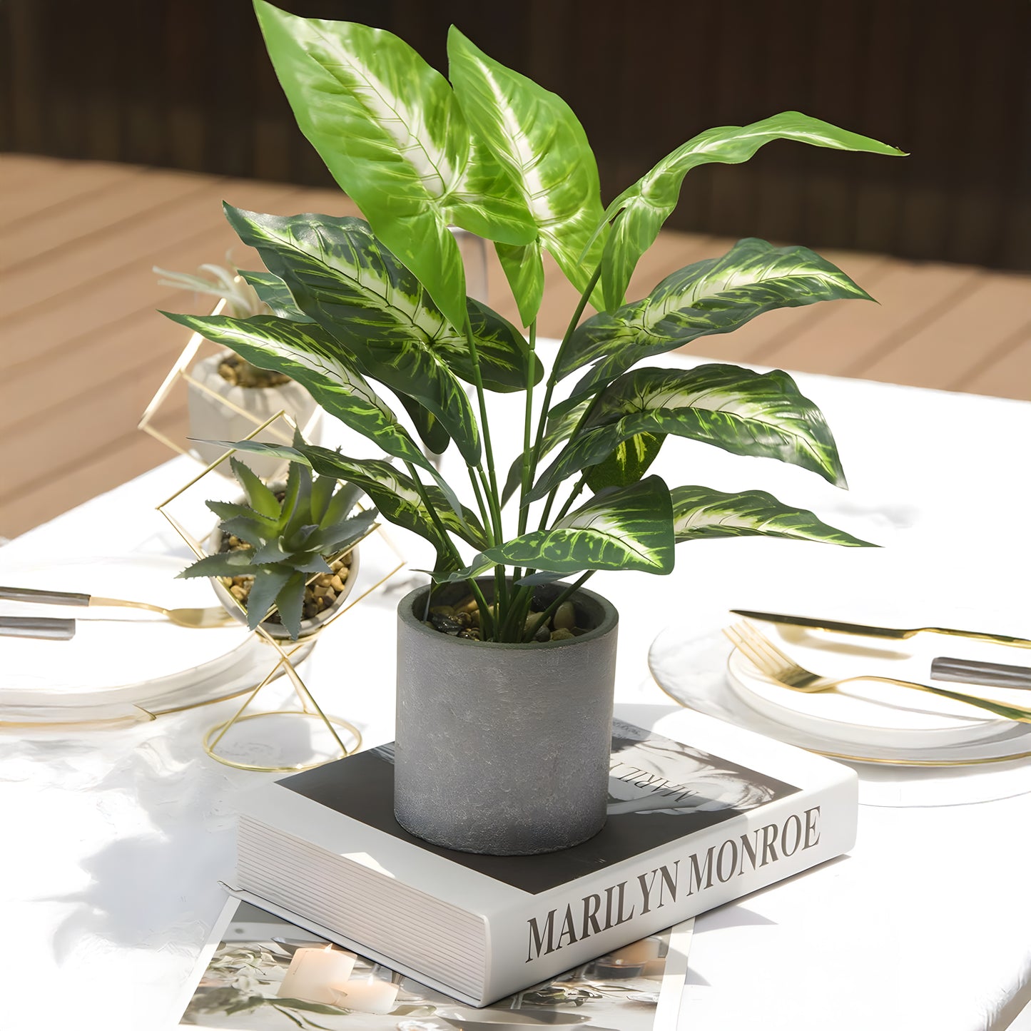 A Jade Majesty Dieffenbachia by Landmark Decor with glossy green leaves sits on a table, resting atop a book titled Marilyn Monroe. The white surface holds plates, utensils, and a small succulent in a geometric pot.