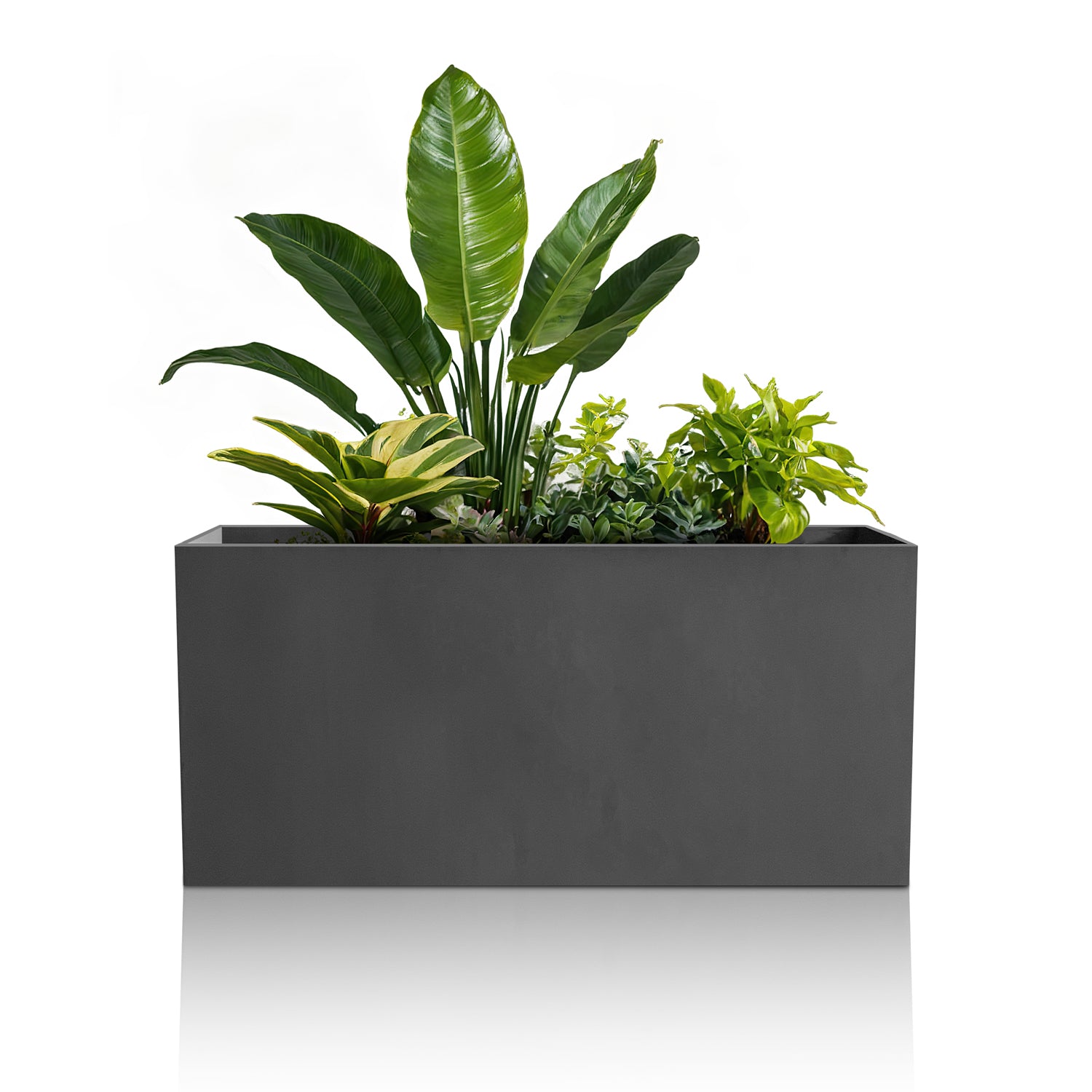rectangular indoor plant pots Minimalist Oasis Planter